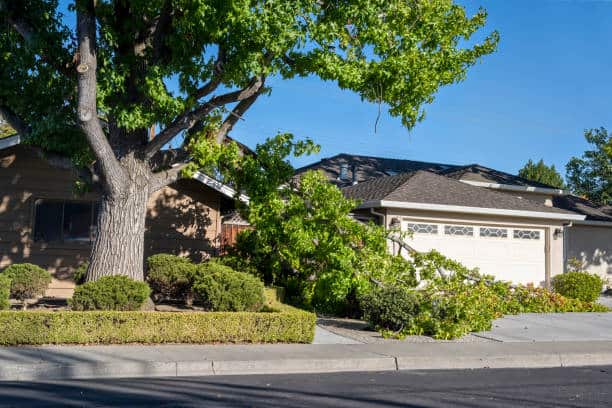 Emergency tree service 24/7 Columbia SC